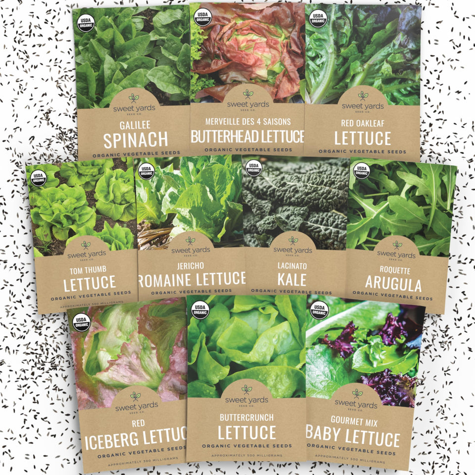 Sweet Yards Buttercrunch lettuce seed pack; crisp leaves ideal for fresh salads.