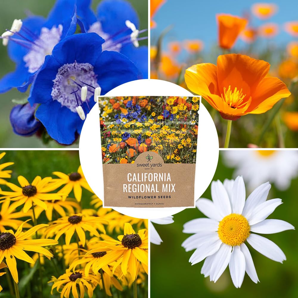 Bulk seeds from Sweet Yards enable large-scale meadow or garden projects.