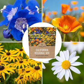 Bulk seeds from Sweet Yards enable large-scale meadow or garden projects.