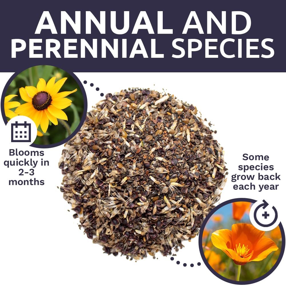 Easy-to-plant Sweet Yards mix seeds for a quick meadow or garden.