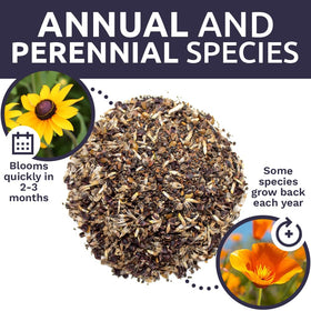 Easy-to-plant Sweet Yards mix seeds for a quick meadow or garden.