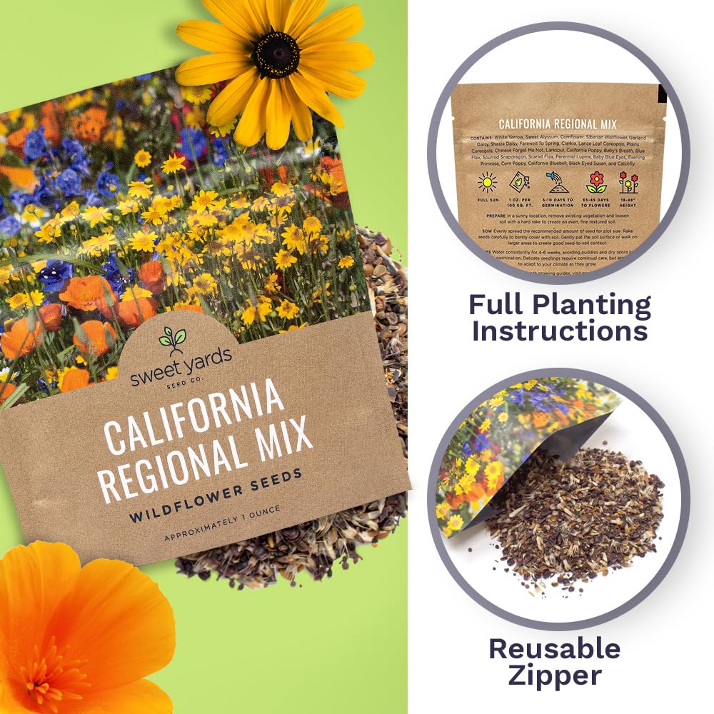 Sweet Yards California Wildflower Mixture attracts pollinators like bees.