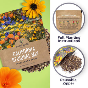 Sweet Yards California Wildflower Mixture attracts pollinators like bees.