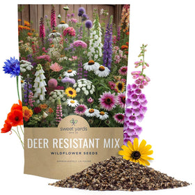 Sweet Yards deer-resistant wildflower seed mix bulk quarter pound, supports pollinators.
