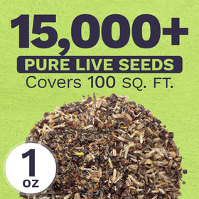 SWEET YARDS bulk one-ounce seeds are pictured as abundant tiny seeds