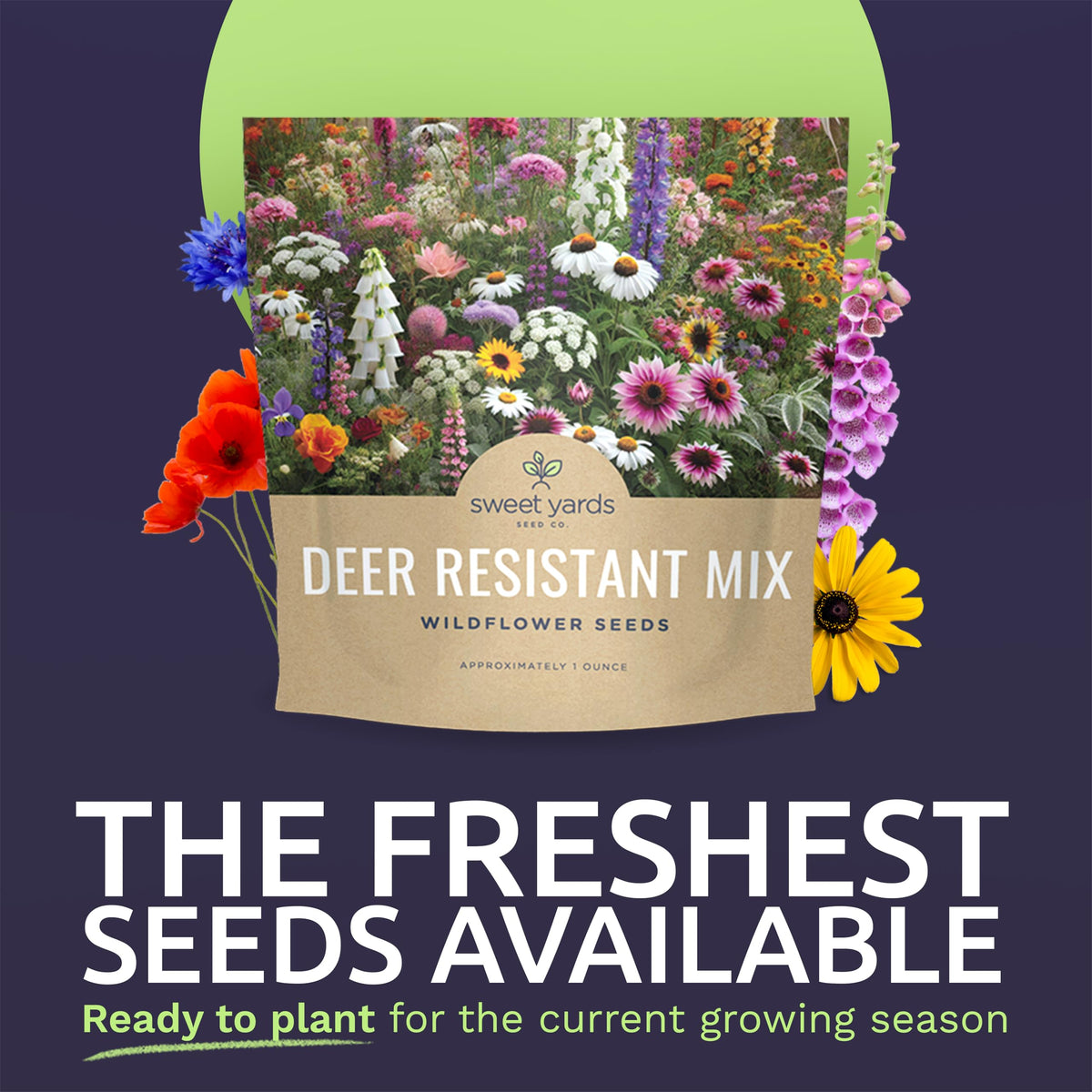 SWEET YARDS deer-resistant wildflower mix, packet back view with planting instructions
