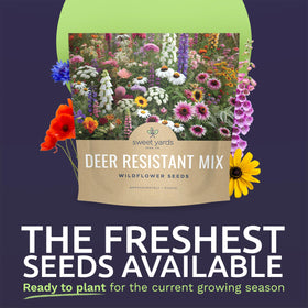 SWEET YARDS deer-resistant wildflower mix, packet back view with planting instructions