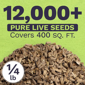 Sweet Yards fresh seeds bulk quantity ideal for seed packets and sharing