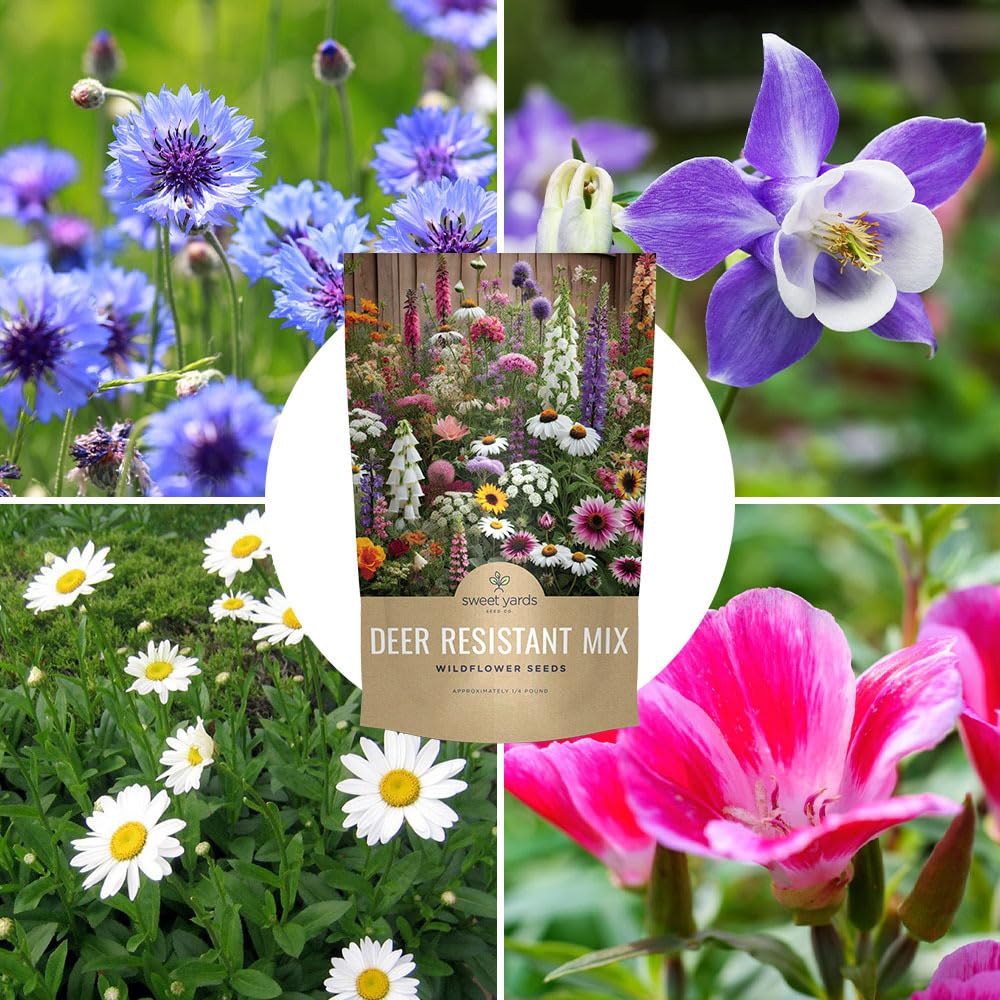 Sweet Yards premium seed packaging protects quality from storage to sowing.