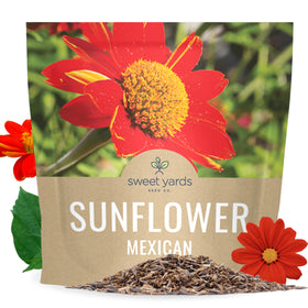 Sweet Yards Mexican Sunflower seeds extralarge packet ready for quick garden coverage.