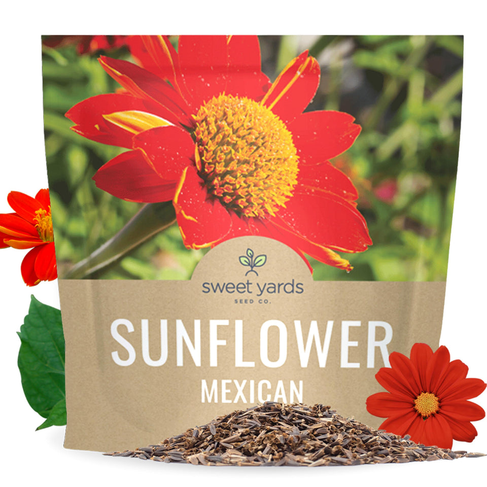 Sweet Yards Mexican Sunflower seeds extralarge packet ready for quick garden coverage.