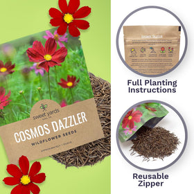 Non-GMO Cosmos seeds from SweetYards promote garden blooms.