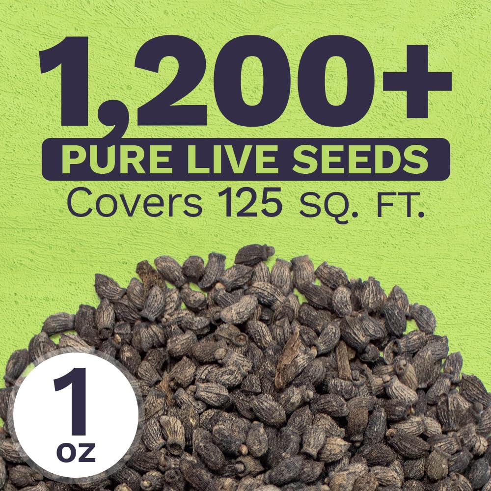 Sweet Yards open-pollinated borago seeds offer garden-friendly, non-GMO options.