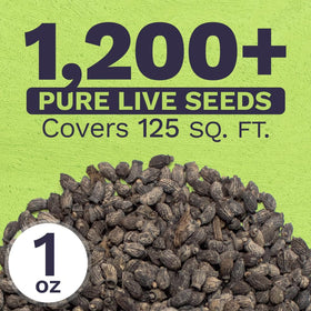 Sweet Yards open-pollinated borago seeds offer garden-friendly, non-GMO options.