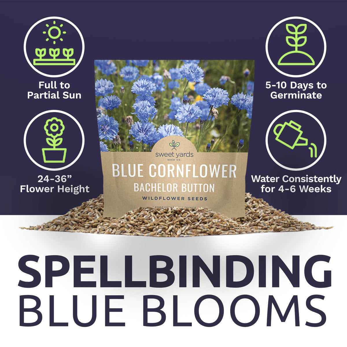 SweetYards open-pollinated blue cornflower seeds, promoting robust germination and easy planting.