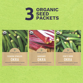 Sweet Yards Cowhorn okra seeds close-up, promising tender pods