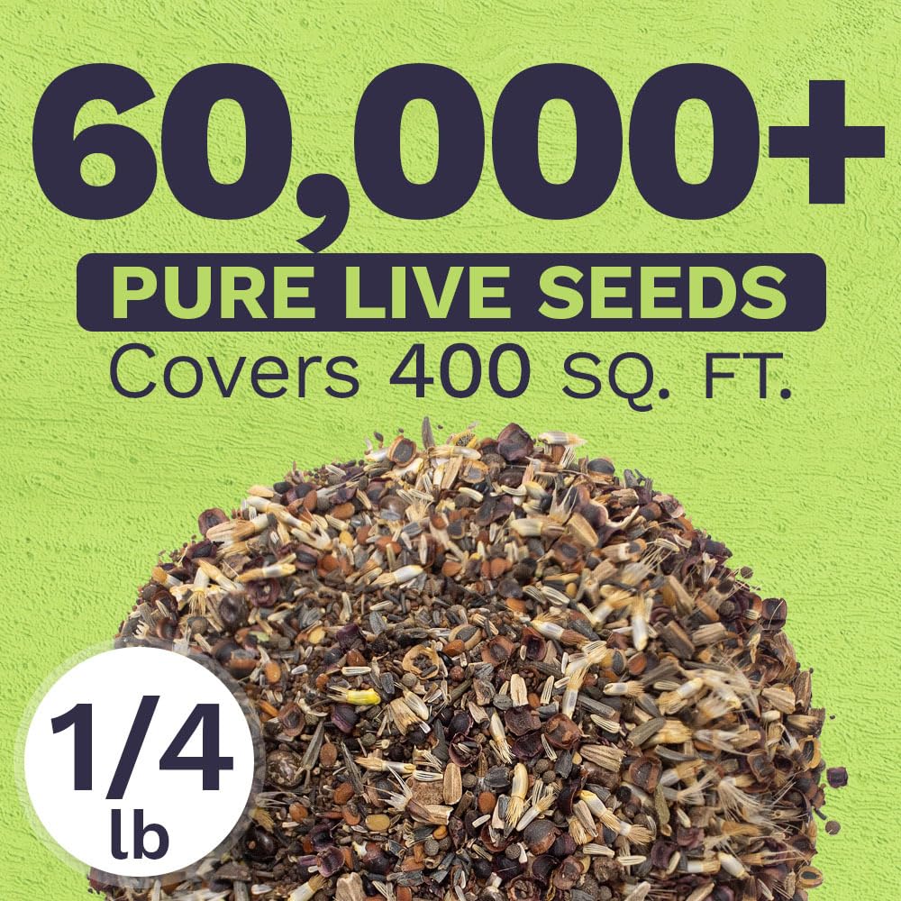 Sweet Yards over sixty thousand seeds ready for quick garden establishment.
