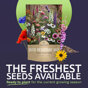 Sweet Yards packaging with resealable zipper preserves seed freshness for planting.