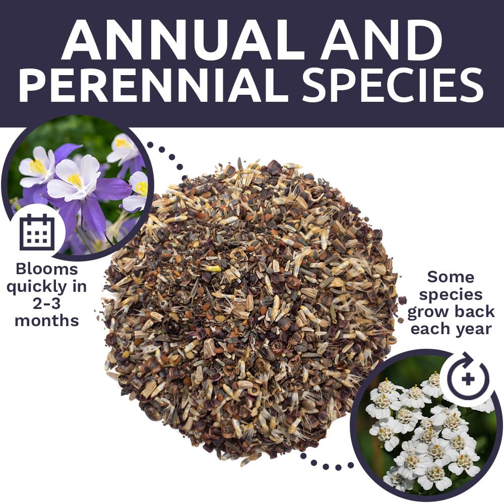 Sweet Yards pollinator-friendly mix supports bees and butterflies in your yard.