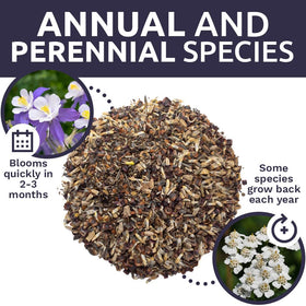 Sweet Yards pollinator-friendly mix supports bees and butterflies in your yard.