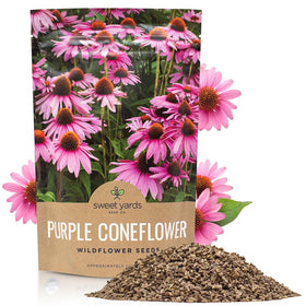 Sweet Yards purple coneflower seeds bulk packet for vibrant garden color