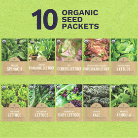 Sweet Yards Red Iceberg lettuce seed pack; crunchy heads perfect for sandwiches.