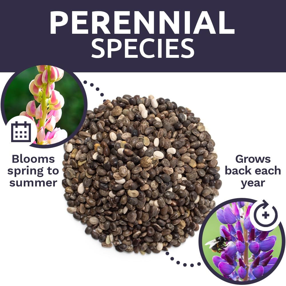 Grows back each year, reducing reseeding effort while maintaining garden vitality.