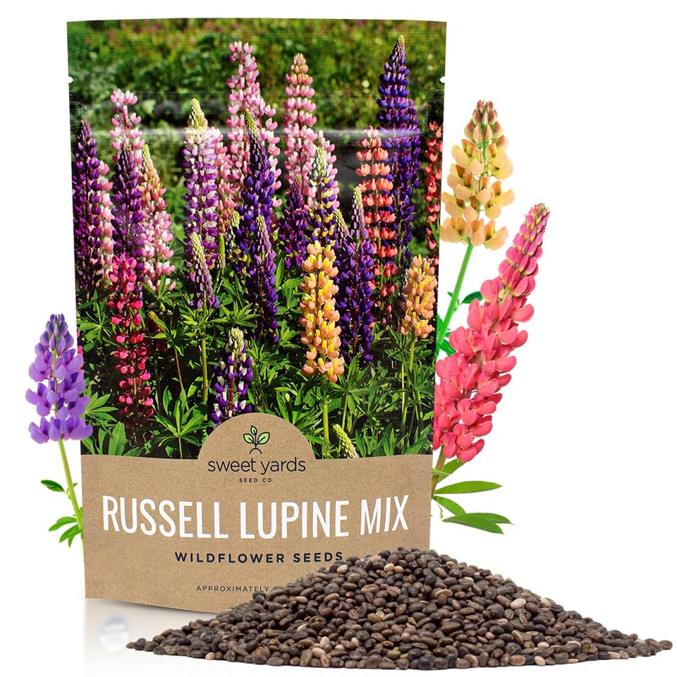 Sweet Yards Russell Lupine seeds bulk quarter-pound bag for easy planting and coverage.