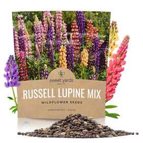 Sweet Yards Russell Lupine seeds in an extra-large packet, ideal for quick border coverage.