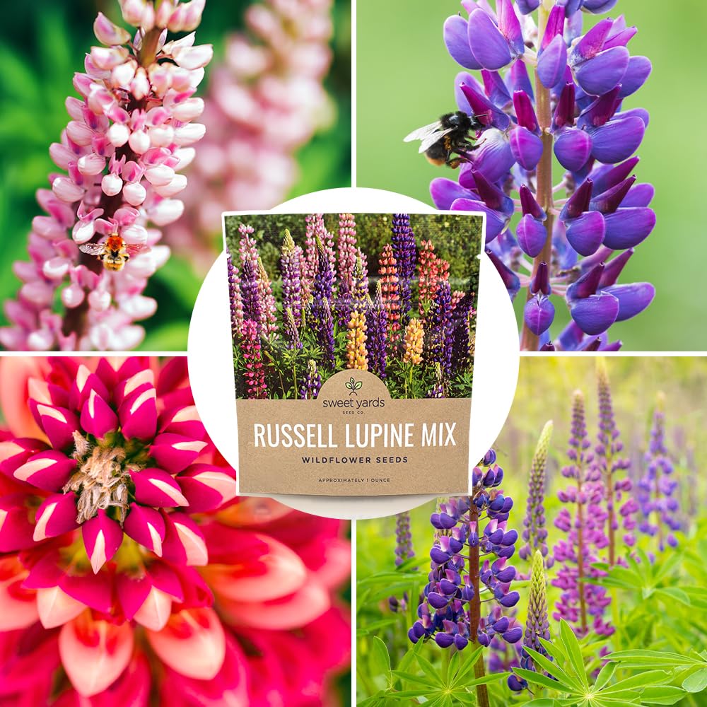 Gift-ready seeds with premium packaging are perfect for gardeners and plant lovers.