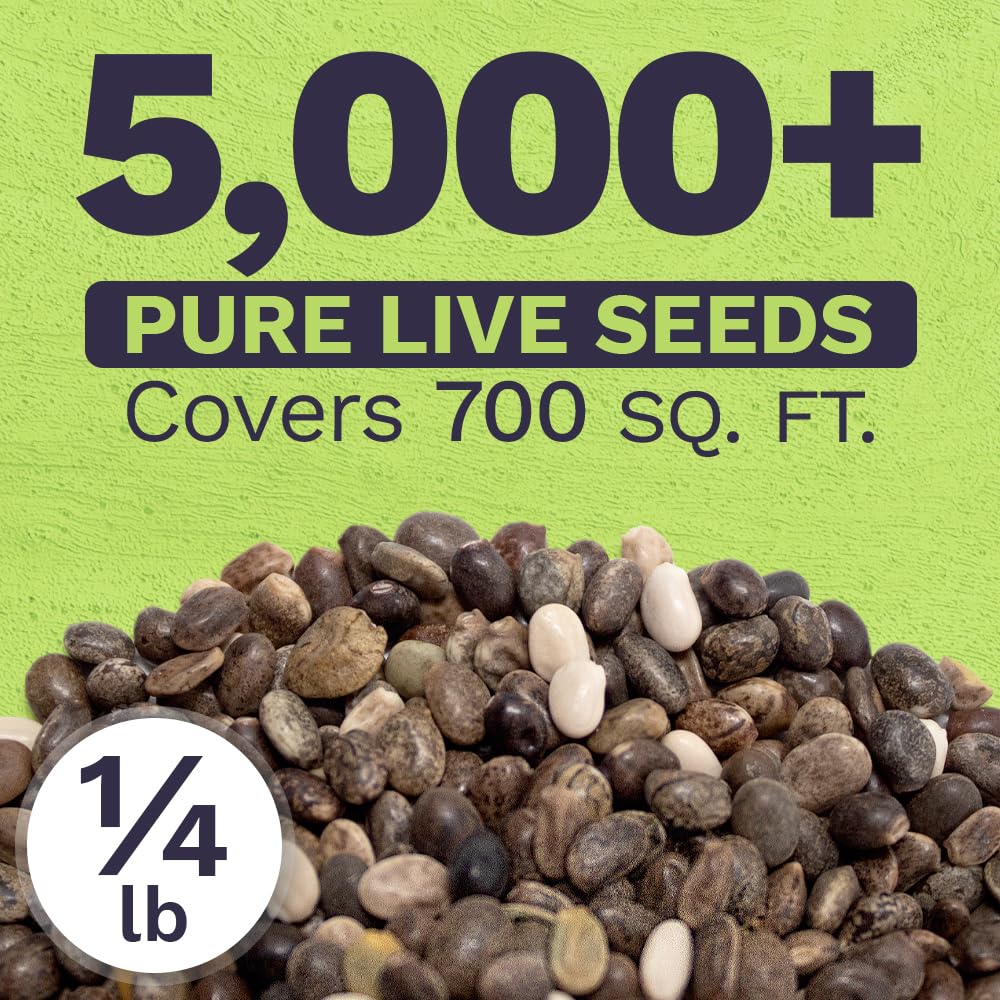 Sweet Yards Russell Lupine seeds non-GMO for pollinator-friendly garden beds.