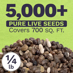 Sweet Yards Russell Lupine seeds non-GMO for pollinator-friendly garden beds.