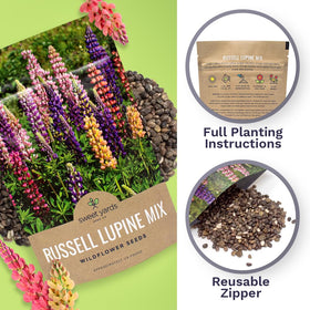 Sweet Yards Russell Lupine seeds ideal for seed bombs and sharing with neighbors.