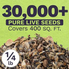 Sweet Yards bulk seed-packet filling idea for sharing and DIY seed bombs.