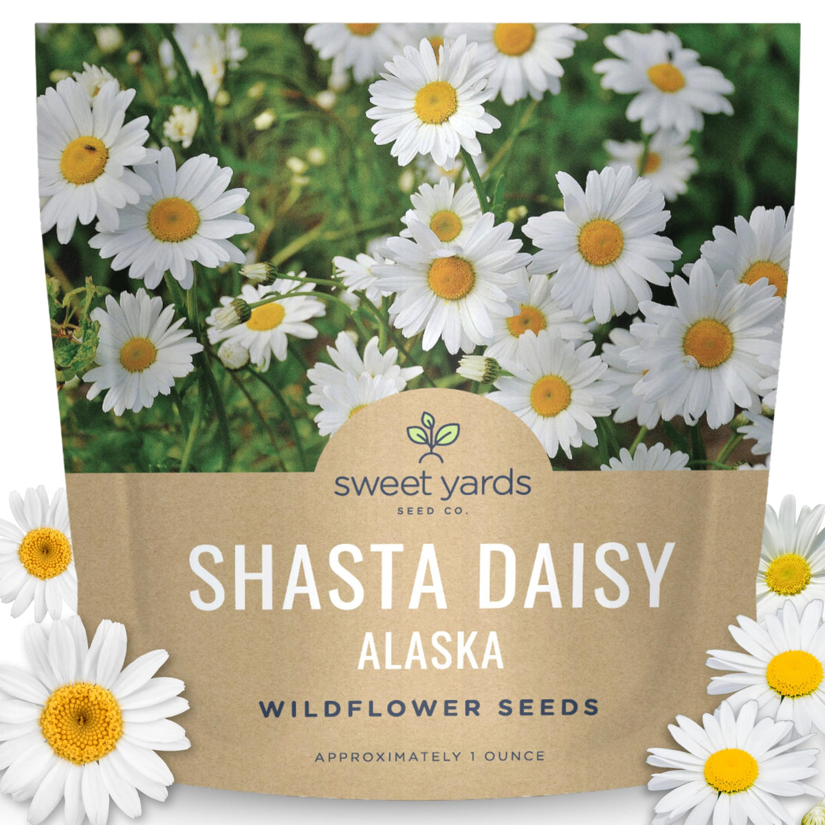 Sweet Yards Shasta Daisy Alaska seed packet 1oz for sowing up to 500 sq ft of blooms.