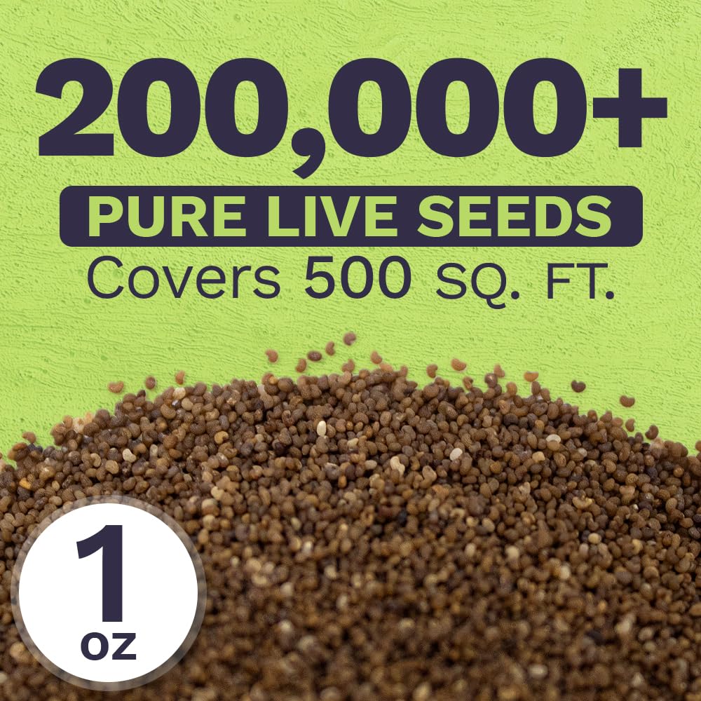 Sweet Yards Shirley Poppy Seeds germination closeup highlights high germination potential.