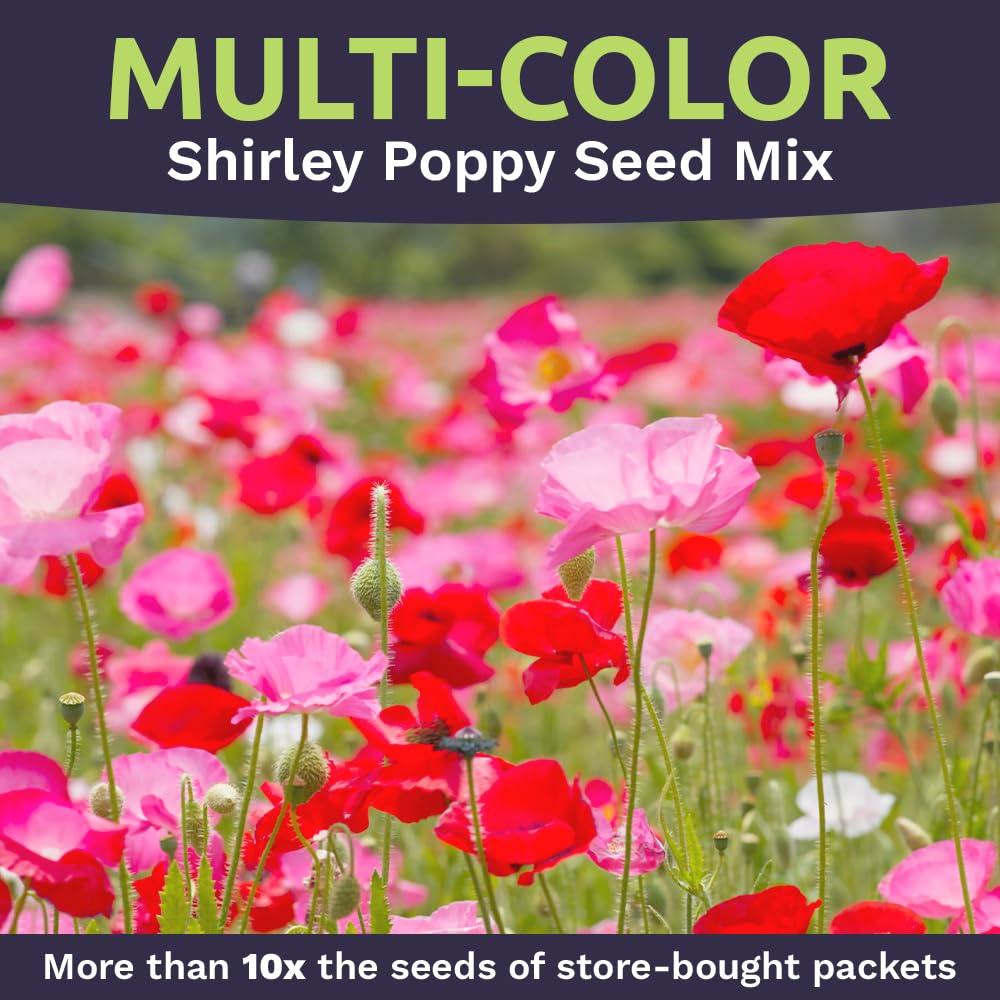 Sweet Yards packaging with planting instructions included for easy sowing.