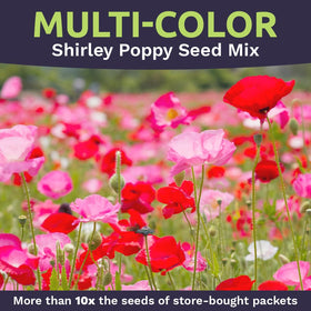 Sweet Yards packaging with planting instructions included for easy sowing.