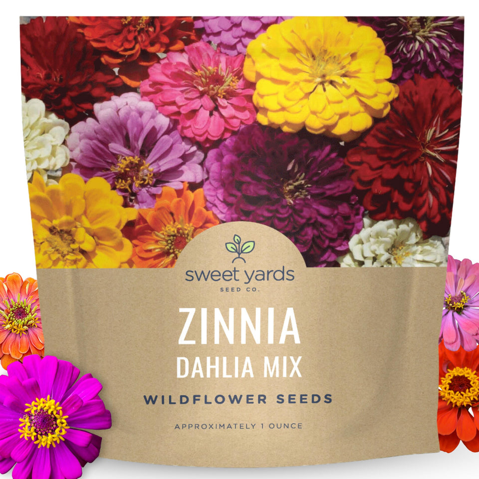 Sweet Yards Zinnia Dahlia Mix seeds ready to sow for a color-packed garden.