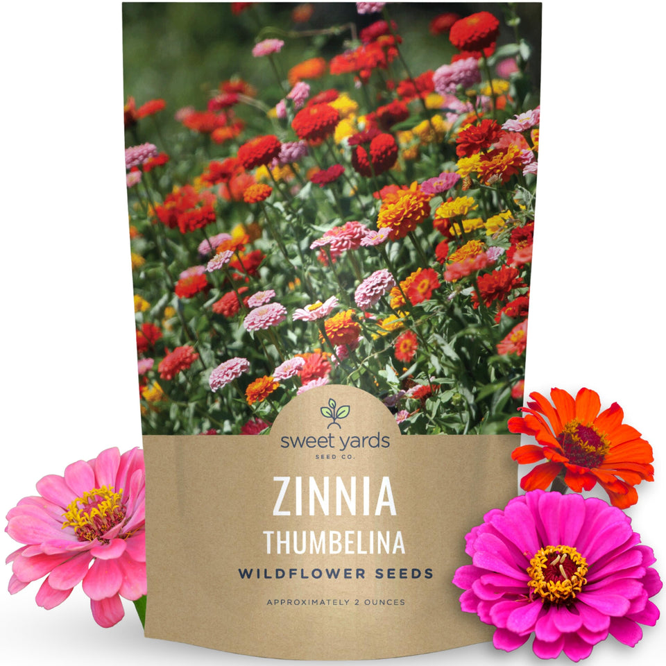 Sweet Yards Zinnia Thumbelina Mix seeds ready for planting in containers.