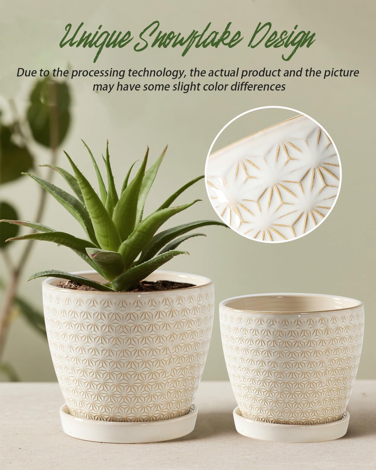 Swicken large planter 6.7x5.7 inches provides ample space for leafy plants.