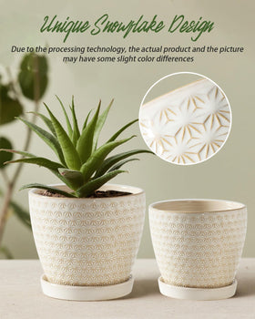Swicken large planter 6.7x5.7 inches provides ample space for leafy plants.