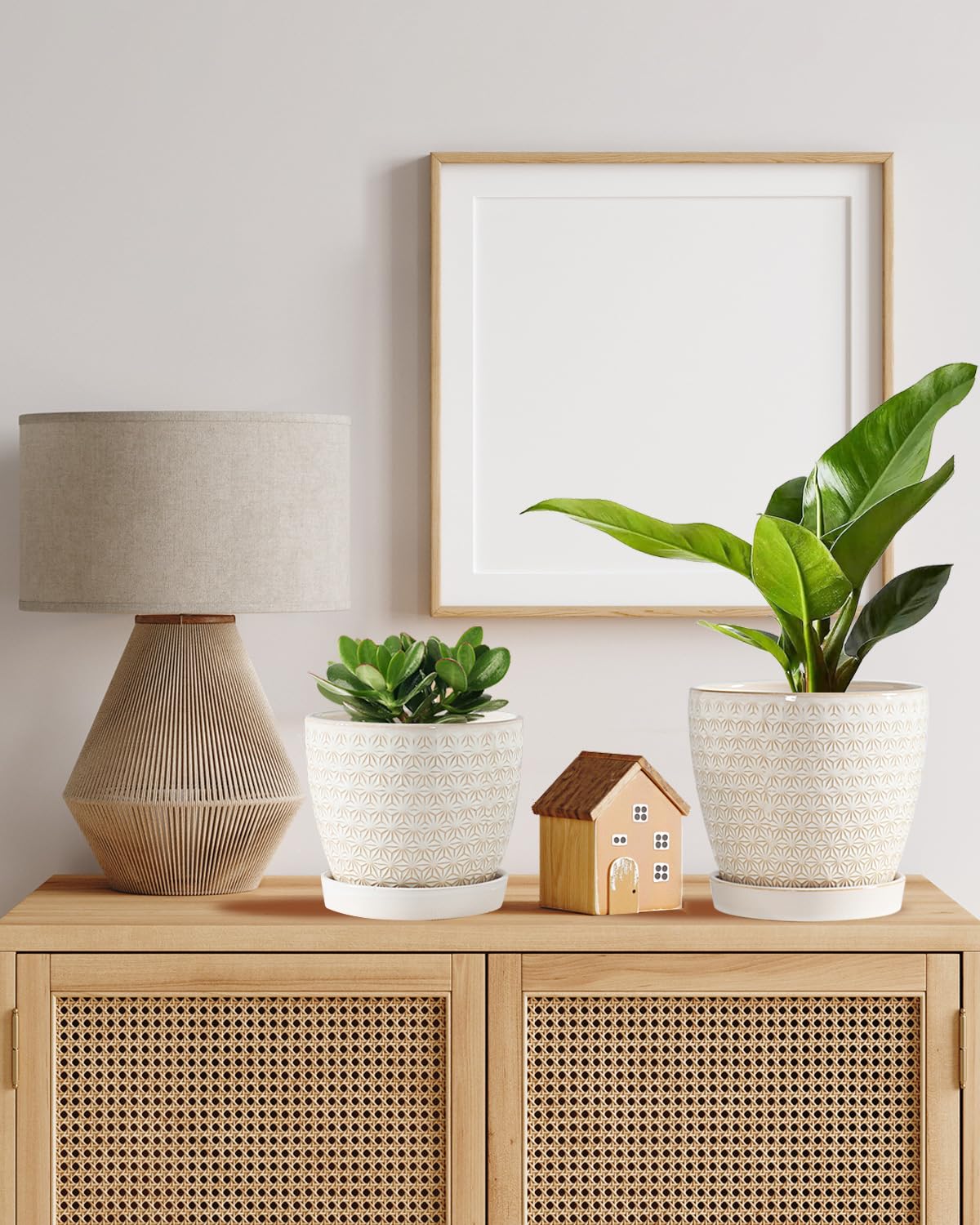 Swicken planters pair with orchids, succulents, and ferns for attractive displays.