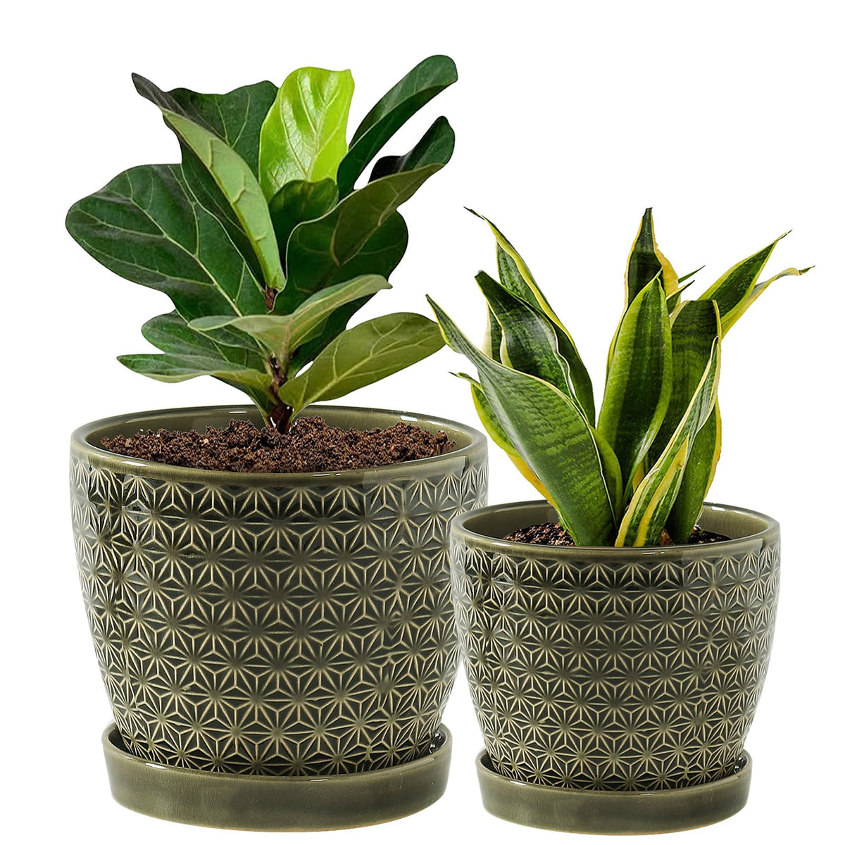 Swicken reactive glaze green planter front view enhances indoor décor.