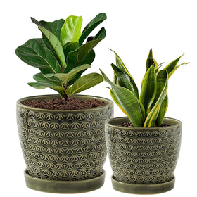 Swicken reactive glaze green planter front view enhances indoor décor.