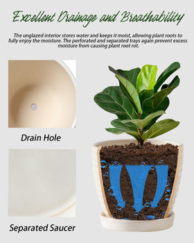 Swicken small planter 5.5x4.5 inches fits compact greens like herbs.