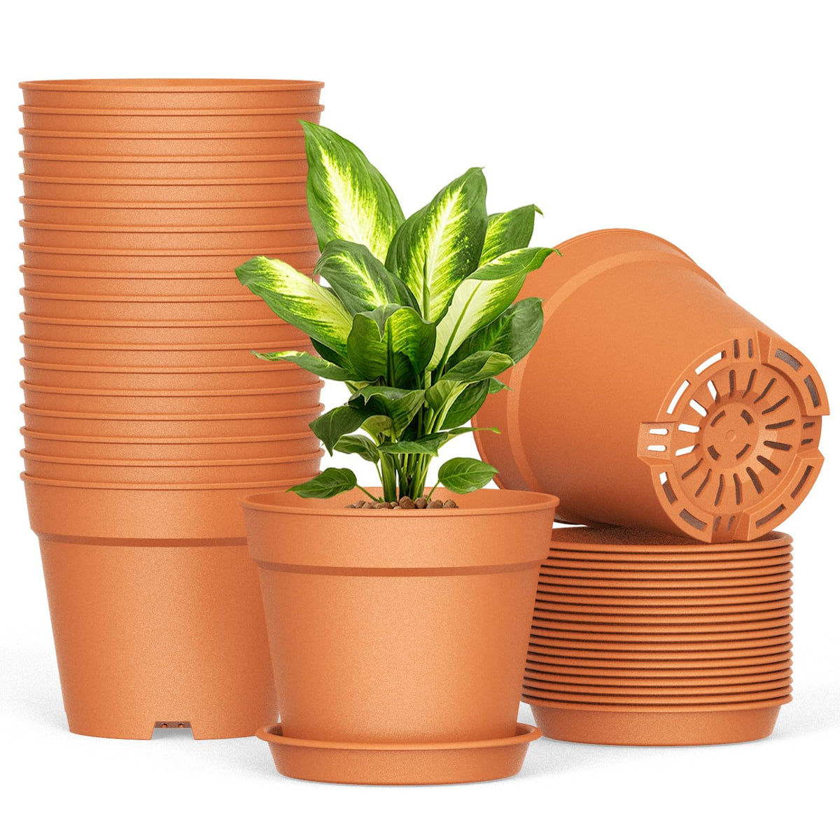 Swinduck 20-pack 6-inch pot with drainage and saucer for indoor seedlings.