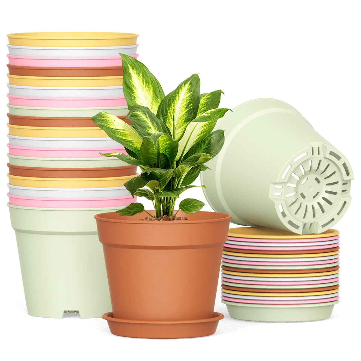 SwinDuck 6-inch pot with drainage holes and matching saucer for healthy root airflow.