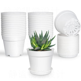 SwinDuck 28-pack 4-inch pot with saucer for organized indoor planting