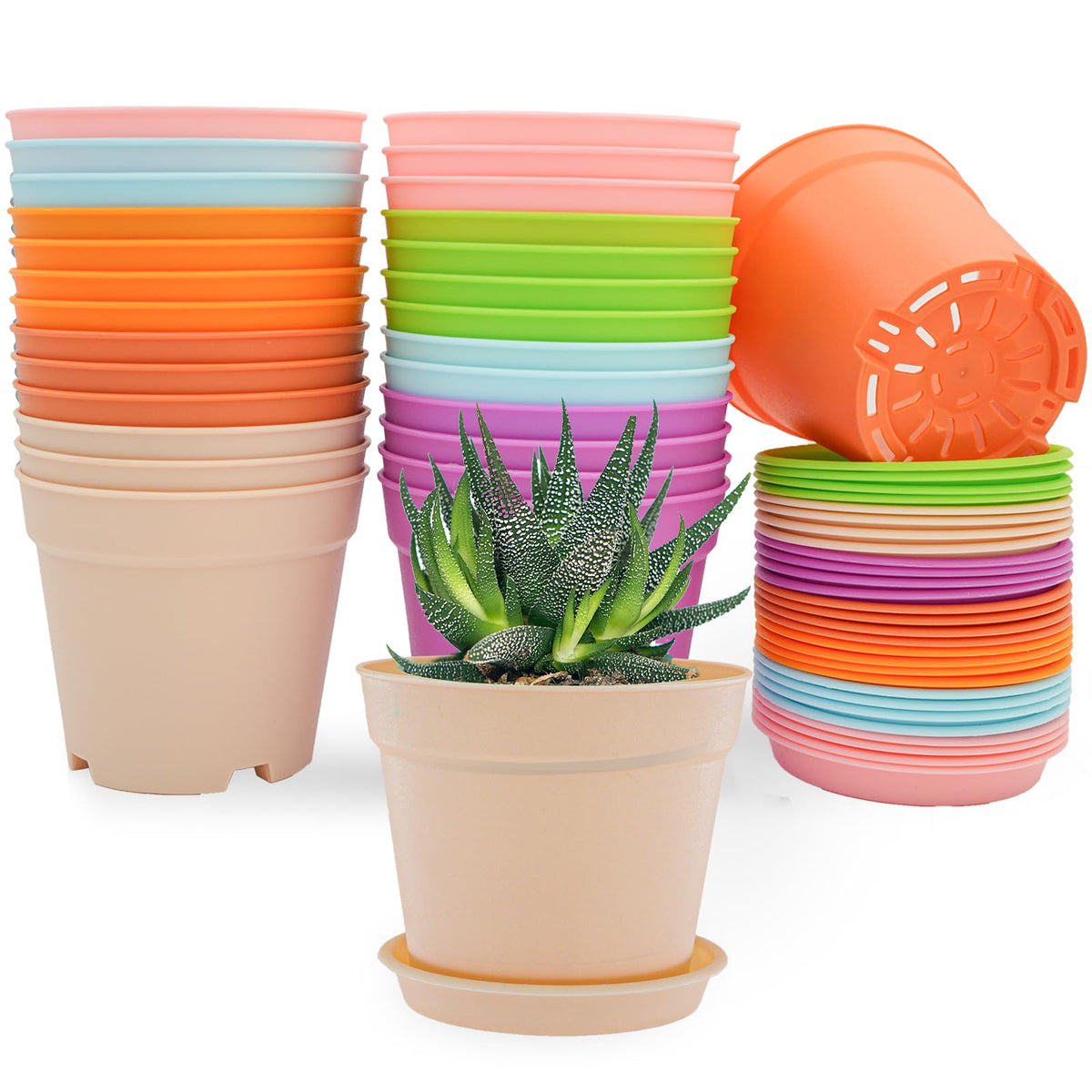 SwinDuck 4 inch pots with drainage for seed starting
